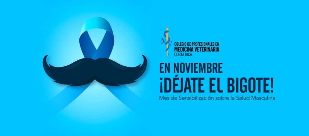 BannerNovember